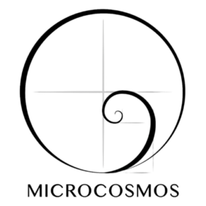 cropped-logo-sin-fondo-microcosmos.png Producto Prueba